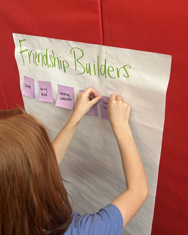 Member Emotional & Social Health (MESH) program