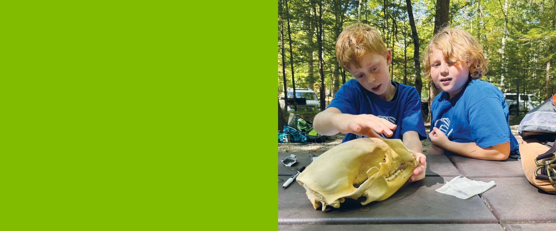 Boys & Girls Clubs of the Tennessee Valley, educational field trips